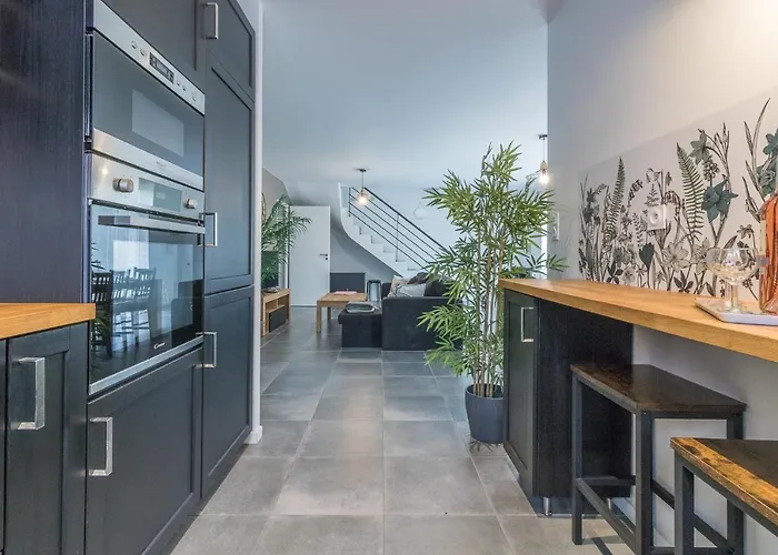 Les De Castel - Les Chenes Castelmaurou