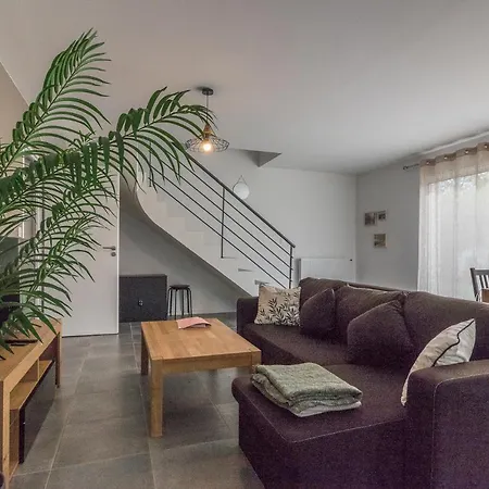 Les De Castel - Les Chenes Castelmaurou